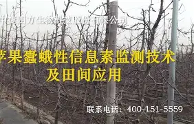 bbtrz与yttwy-爱游戏入口