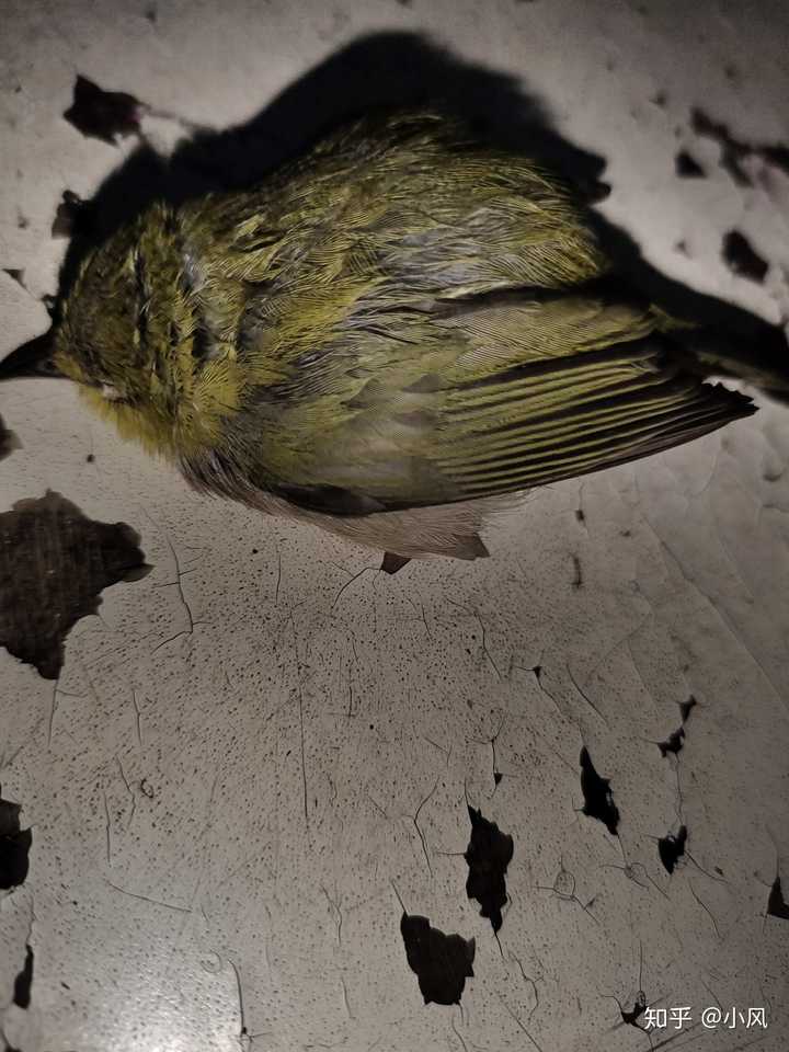 关于$釻NQB橨~縬u掓\犩lV﨟眱坃羵kx?8蟈踫?^\'?的信息-爱游戏平台